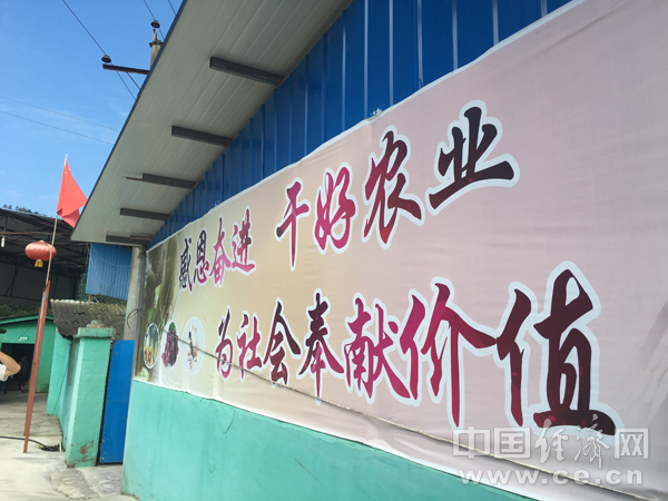 【網(wǎng)絡媒體“走轉(zhuǎn)改”】蘆山紅星村：精準扶貧“不破樓蘭終不還”