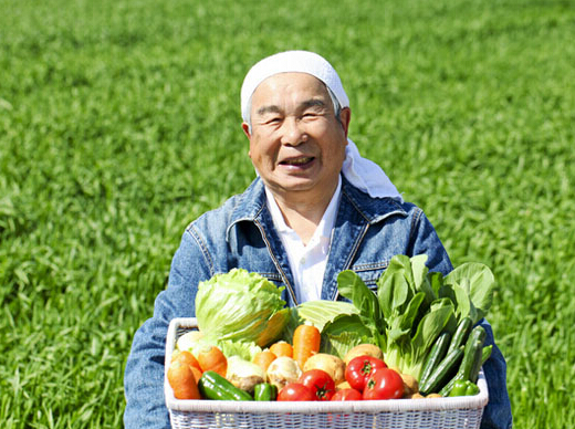 互聯(lián)網(wǎng)+扶貧 河北7366個貧困村都要建電商服務(wù)站