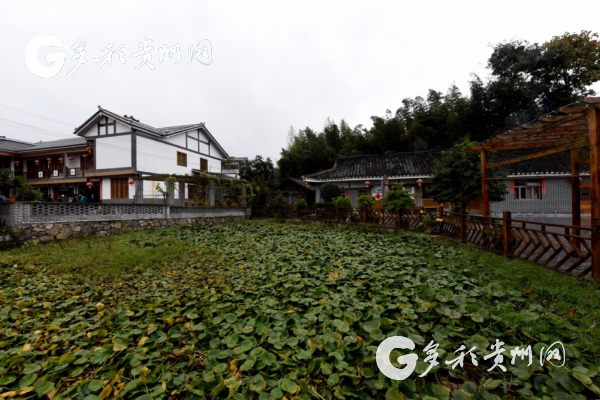 【領(lǐng)航新征程】花繁葉茂說“豐年” 中外青年學(xué)者點贊精準(zhǔn)脫貧“中國方案”