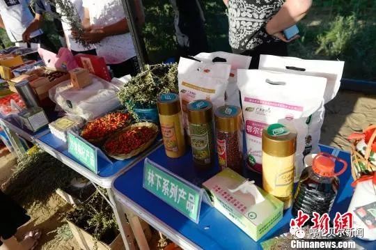 【聚焦】中國第七大沙漠“沙進(jìn)人退”到“綠進(jìn)沙退”的轉(zhuǎn)變