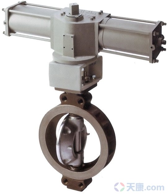 天康蝶閥,雙偏心蝶閥 天康蝶閥,雙偏心蝶閥